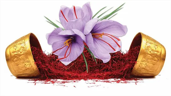 تصویر 2 از زعفران پارسا خرید
